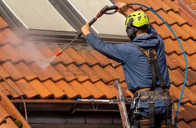 Démoussage et hydrofuge de toiture à Sauvagnas